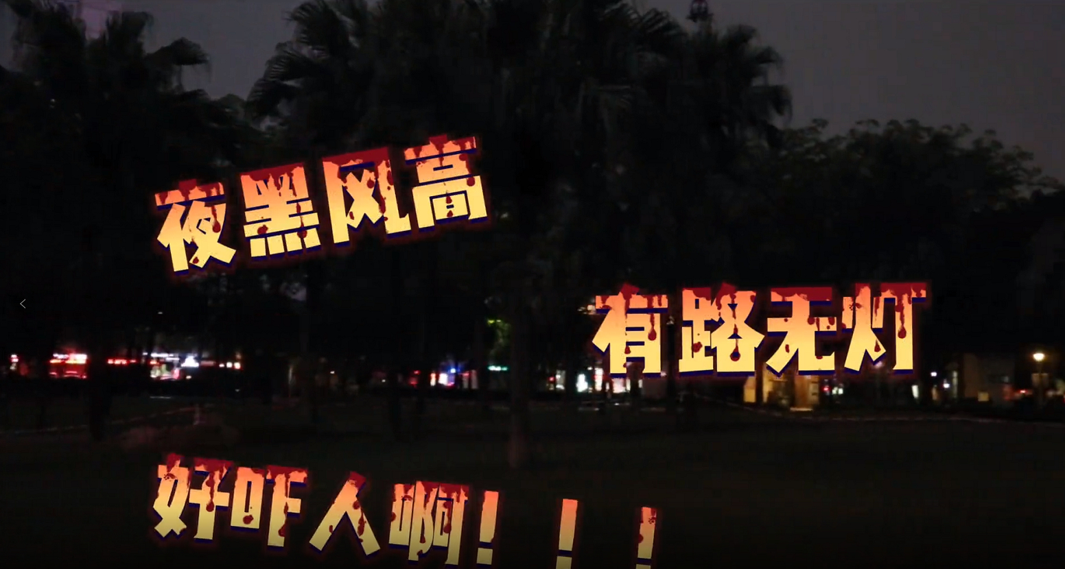 为民办实事 | 灯灯灯灯！季华公园西南片区新装13盏路灯