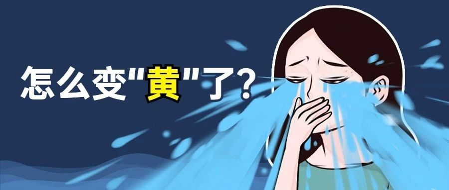 我的粤康码变黄了，怎么办？
