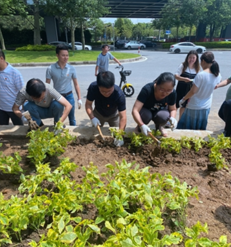 &ldquo;我为群众办实事&rdquo;实践活动：共治社区环境 共享友谊林