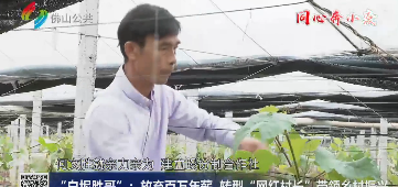 &ldquo;白坭胜哥&rdquo;：放弃百万年薪 转型&ldquo;网红村长&rdquo;带领乡村振