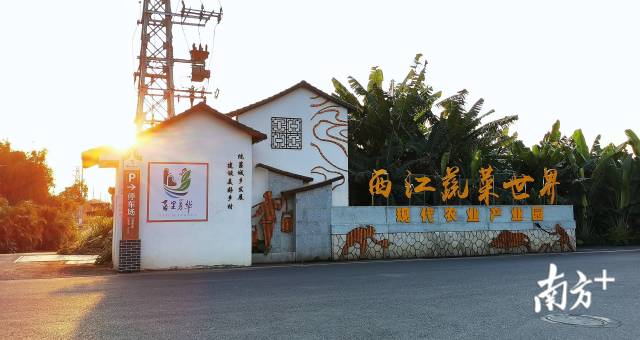三水白坭设2000万乡村全域振兴激励资金！