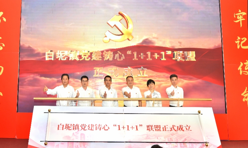 百年华诞 党建铸心&mdash;&mdash;白坭镇党史学习教育专题活动