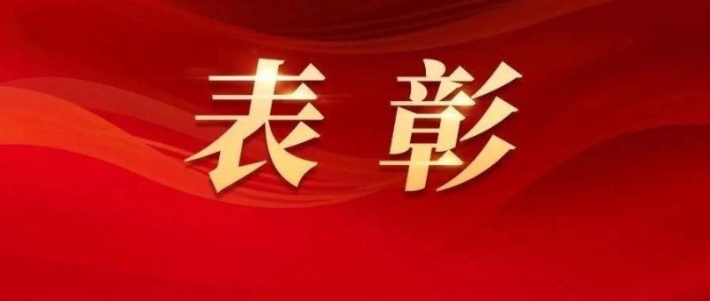榜样的力量，为南庄镇各级&ldquo;两优一先&rdquo;表彰对象喝彩！