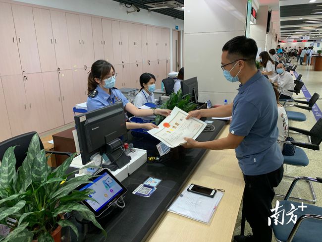 惠及30万户市场主体！顺德74项一照通业务可全区通办