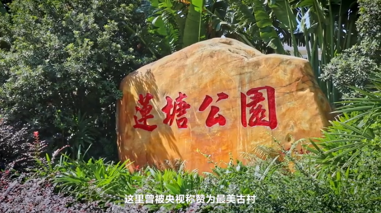 佛山张槎莲塘村：龙狮圣源 莲塘敏秀