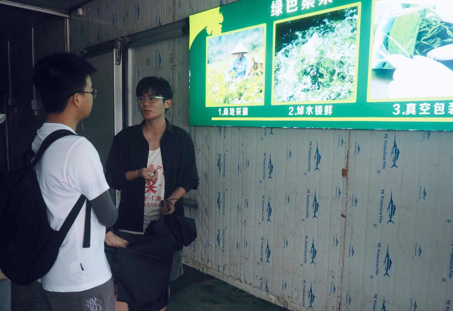 三下乡|佛科院学子走进清远市河头村特色产业万仔蚕桑合作