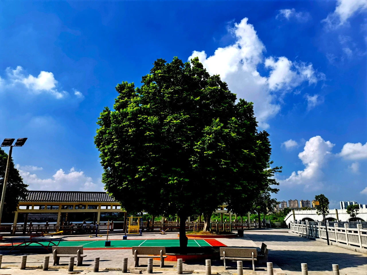 出发！到南庄镇堤田村，邂逅&ldquo;岭南水乡&rdquo;风情