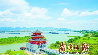 魅力白坭 续写西江古镇传奇 聚力打造广佛节点魅力城