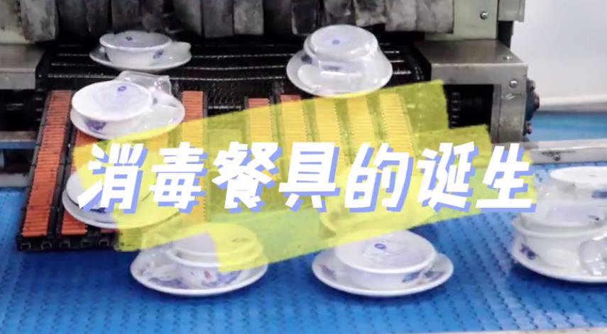 佛山顺德：原来消毒餐具是这样诞生的