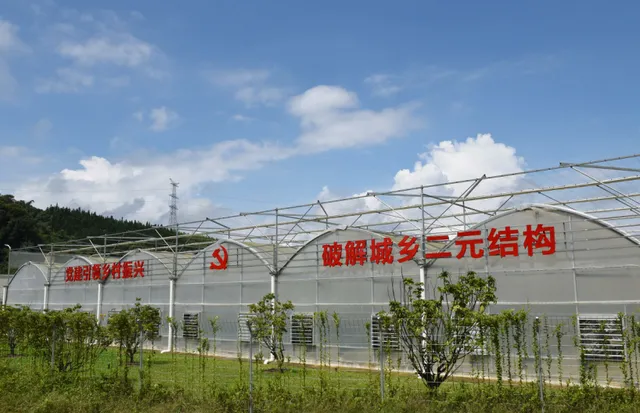 三下乡丨佛山科学技术学院&ldquo;连樟样板&rdquo;调研团丨乡村振兴