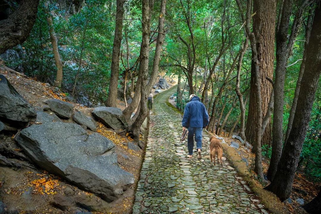 樱花仙境、天然氧吧！佛山这个万亩公园要来了