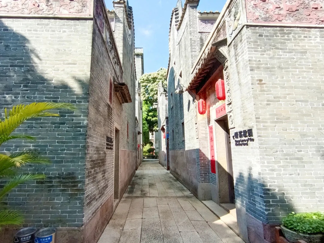 佛山学子三下乡:走入古镇于分秒，助力乡村于细微