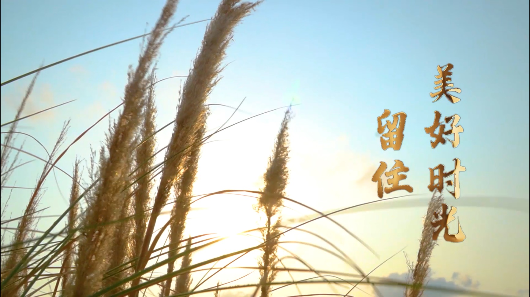 「陈村VLOG」留住美好时光，这三位&ldquo;顺德仔&rdquo;做对了什么？