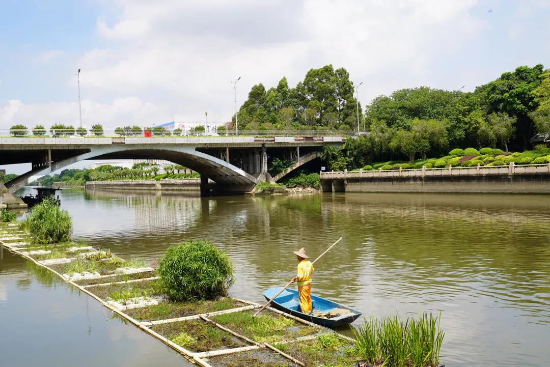 信息速递 | 唤醒河道生机，这个东西起很大作用&rarr;