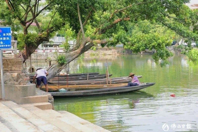 水乡新颜丨古朴静美如诗如画，藏在禅城的&ldquo;小周庄&rdquo;！