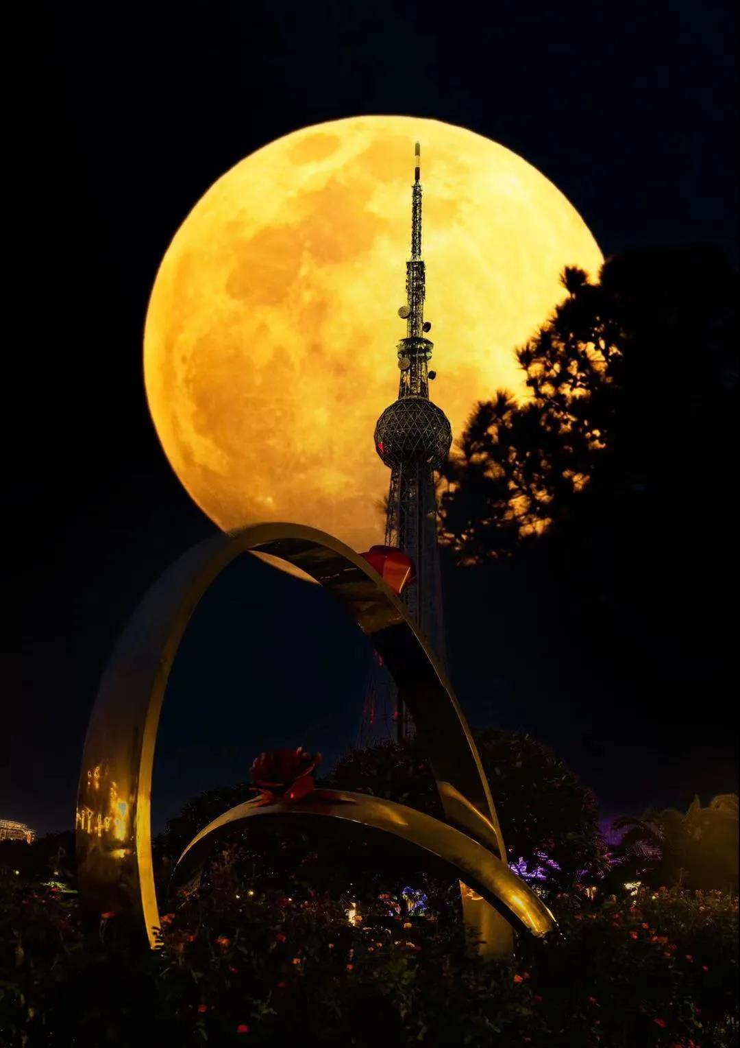中秋要赏灯，管家仔带你看不一样的&ldquo;灯&rdquo;