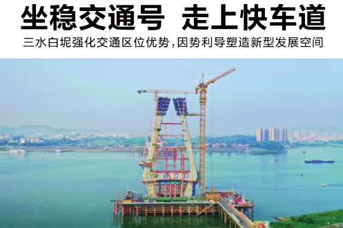 魅力新白坭｜坐稳交通号，走上快车道