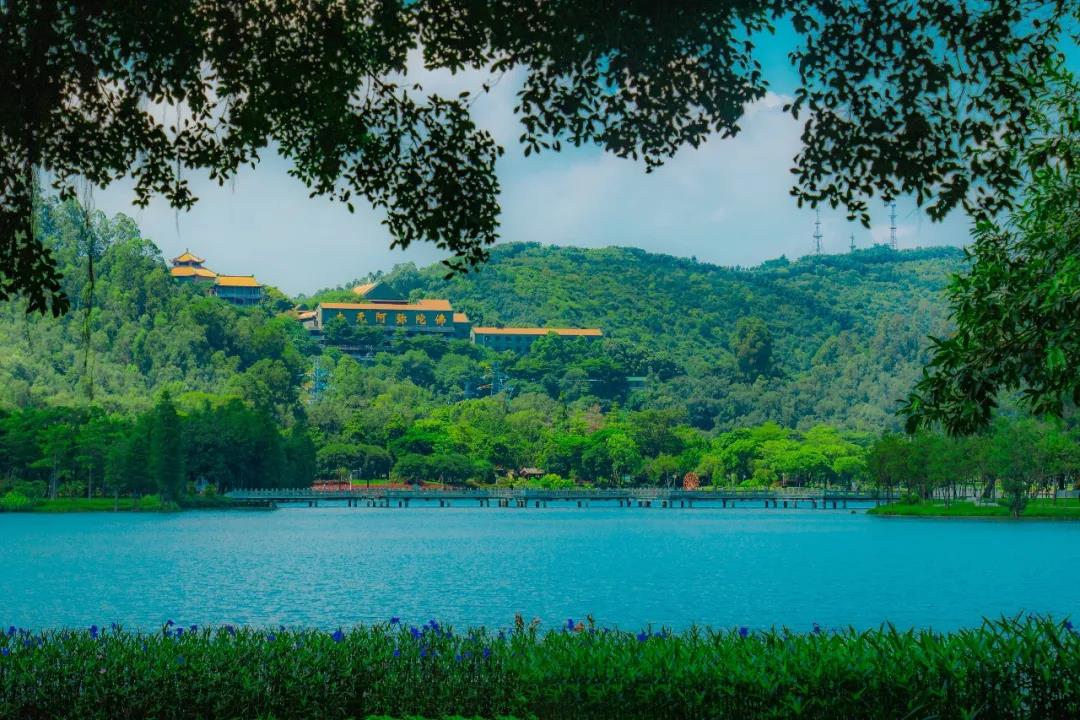 来一场浪漫野餐！顺德这些&ldquo;野餐圣地&rdquo;约起
