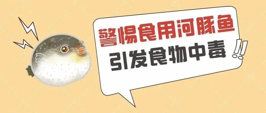 又双叒有人吃河豚中毒！别再为了它以命相搏啦