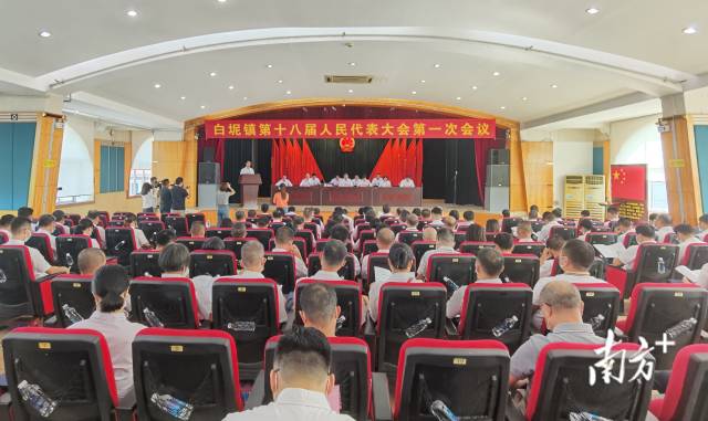 三水白坭将实施六大战略