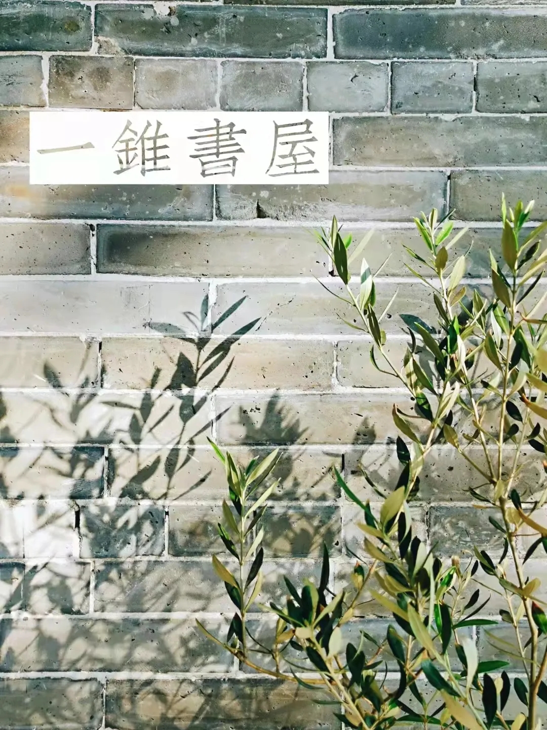 丹灶这家新开的网红书屋，韵味与颜值并存！