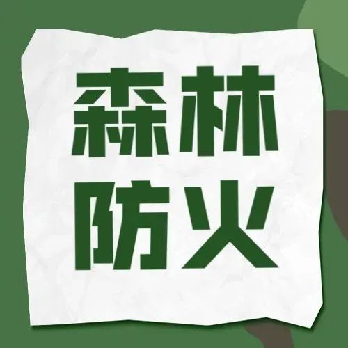 佛山再次部署加强冬春季森林防灭火工作