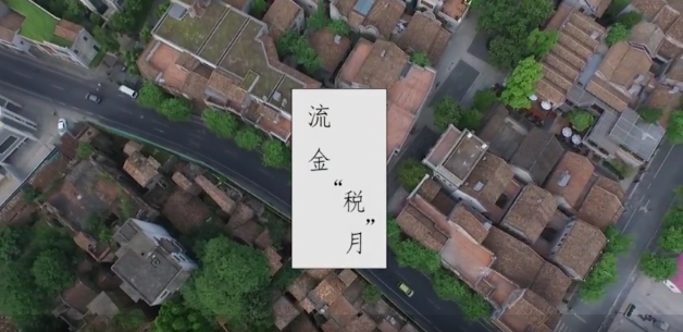 禅城区税务局+流金&ldquo;税&rdquo;月