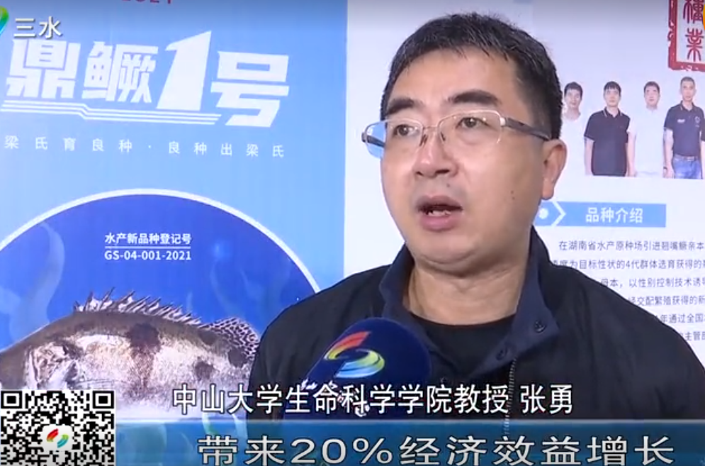 三水威水！这条鳜鱼向全国推广