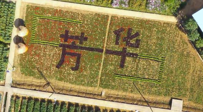 三水最强遛娃好地方推荐！网友去过都说赞！