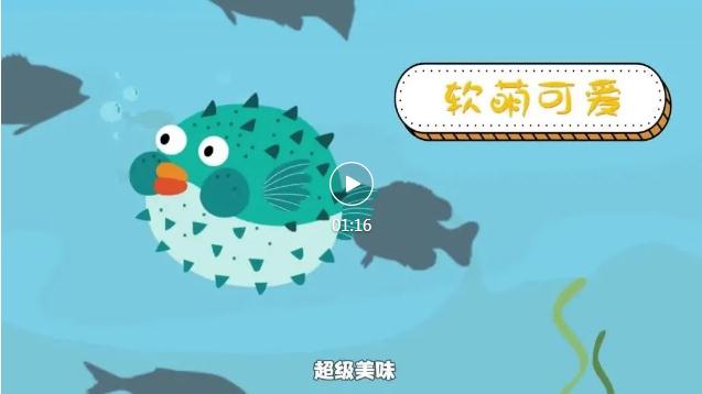 万毒之王！呆萌河豚可爱不可吃