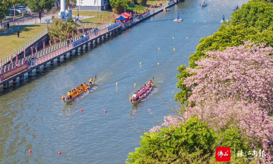 顺德：挖掘城市文化内涵，彰显城市名片魅力