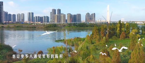 在这里，遇见陈村~