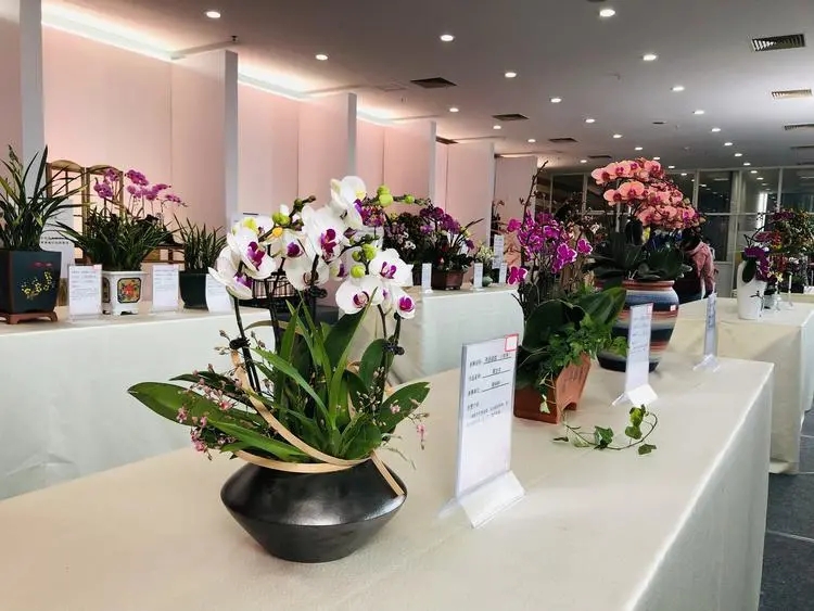顺德&ldquo;花痴&rdquo;的春天来了！这些美物你pick哪个？