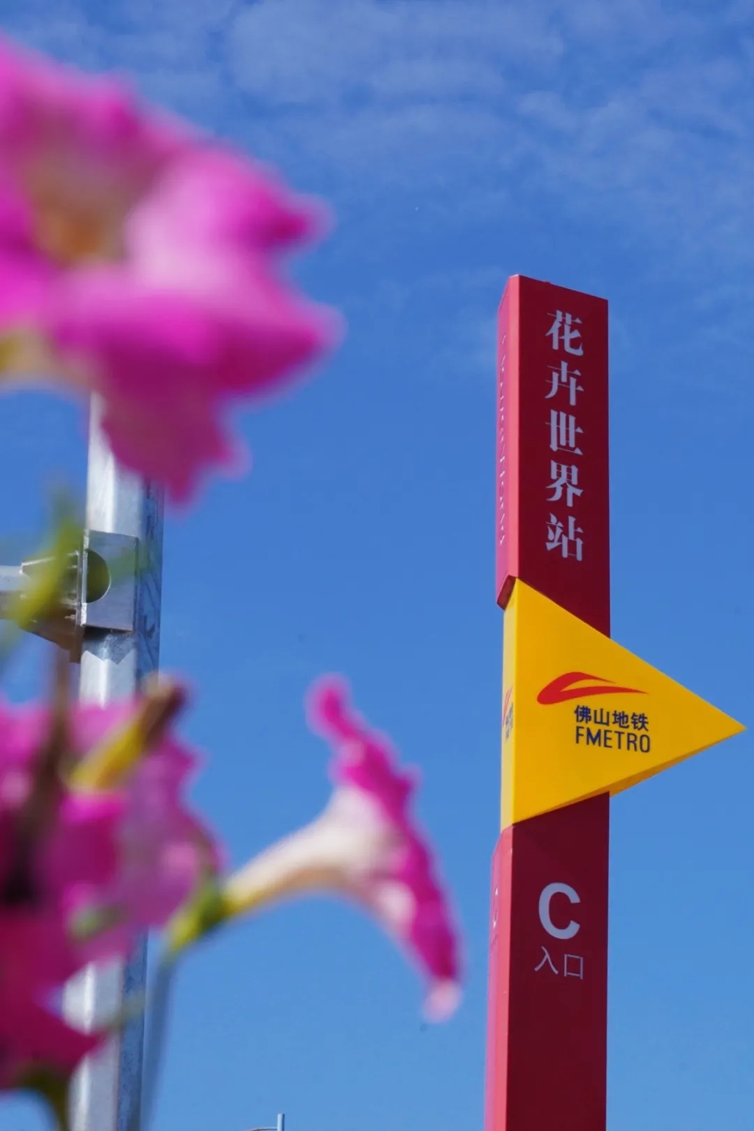 花卉世界站除了花花花，还有它它它！
