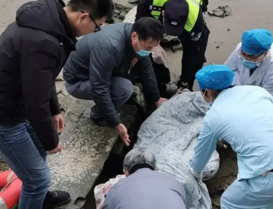 女子欲河中轻生，这位佛山渔民及时跳进冰冷河水将她救起
