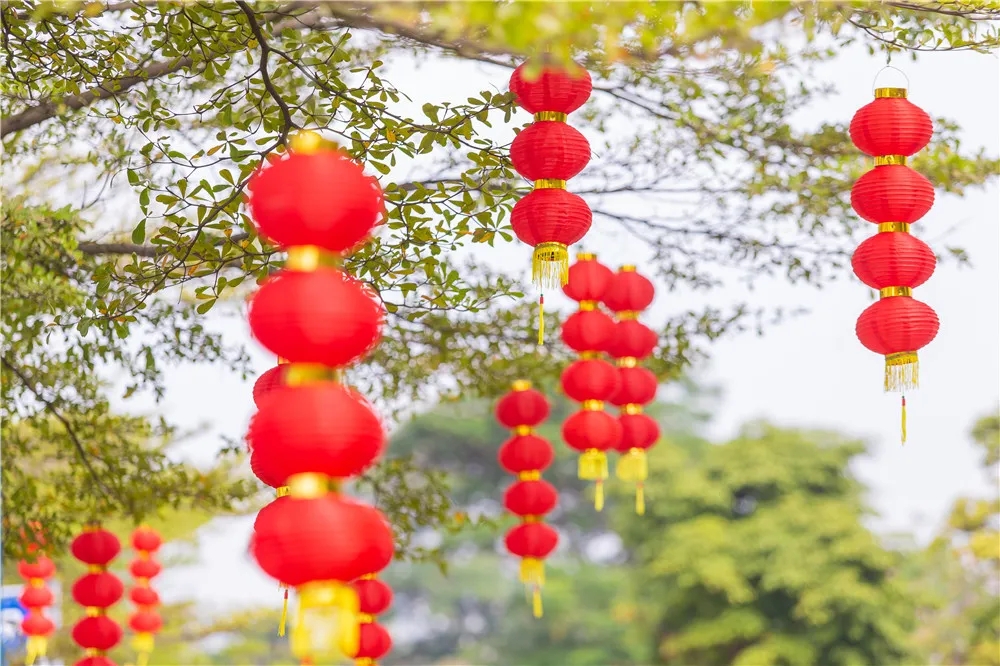 乐从这个年，有味儿！