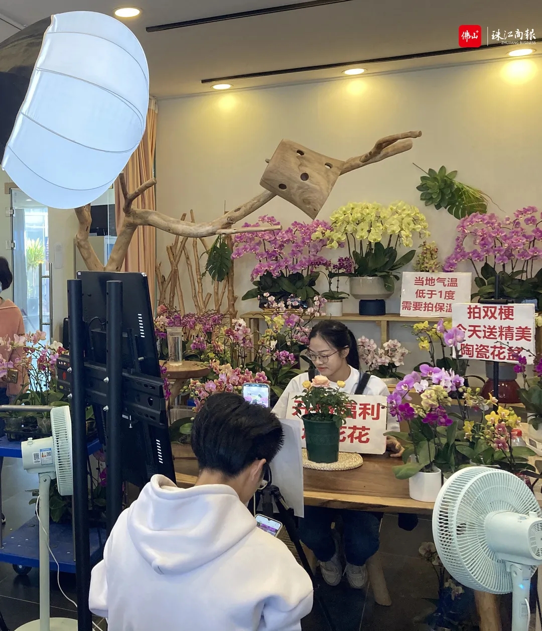 顺德花卉&ldquo;上网触电&rdquo; ，年花年桔一&ldquo;点&rdquo;到家