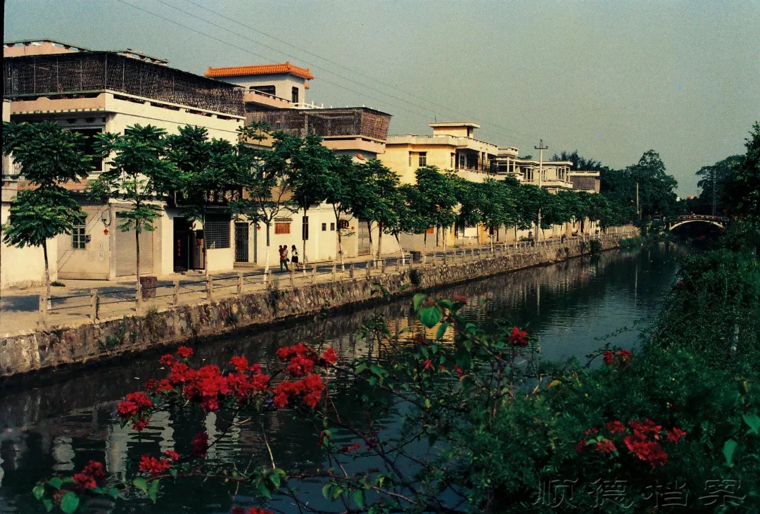 陈村水忆｜儿时街前戏清水，昔日河涌印记深