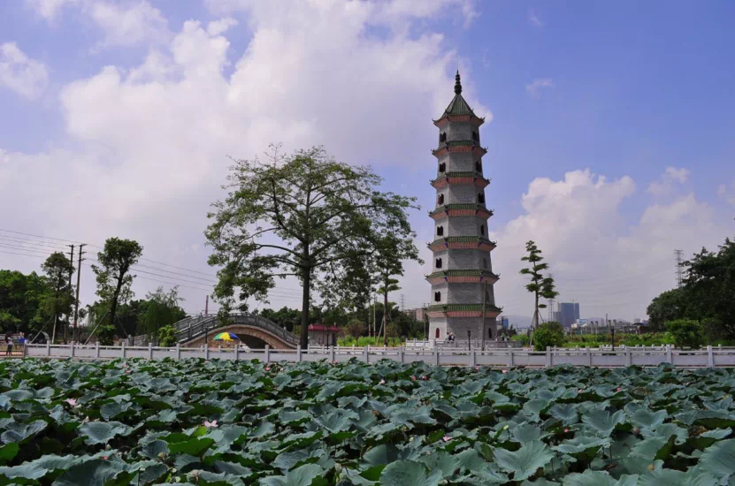 威水！罗格、湖涌、紫南、罗南获多项殊荣