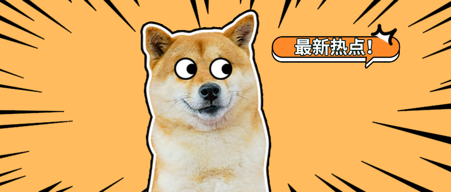立刻行动！禅城对央视3&middot;15晚会曝光相关问题开展专项检查