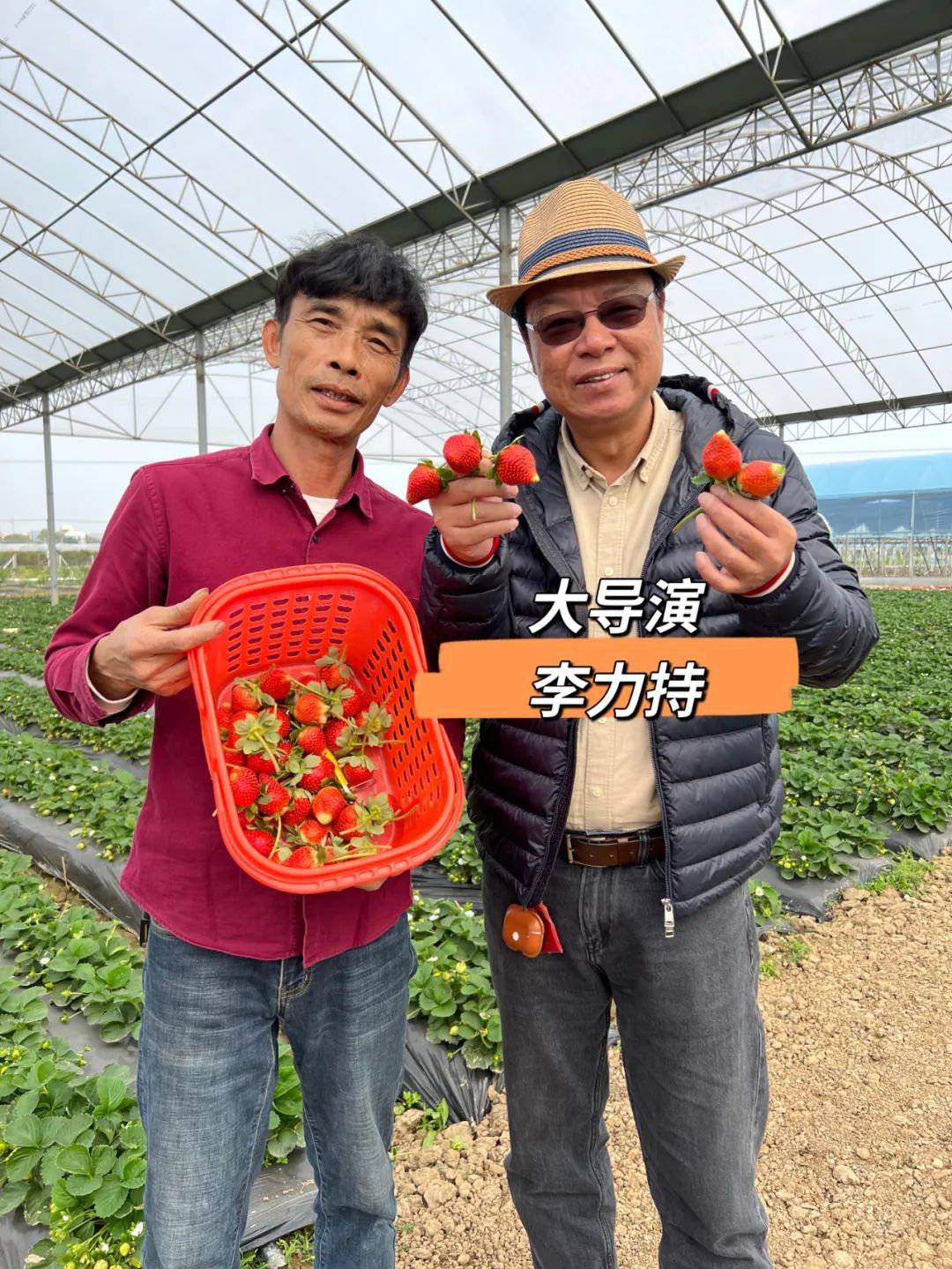 走进田园，亲子采摘攻略来了