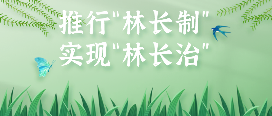 推行&ldquo;林长制&rdquo;，实现&ldquo;林长治&rdquo;！看佛山最新阶段性成效
