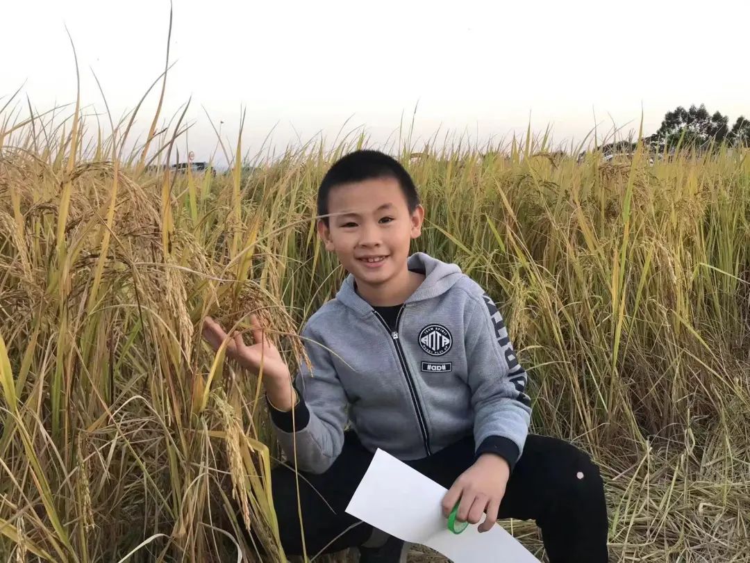  &ldquo;大头虾&rdquo;遗落钱包在停车场，9岁学子拾金不昧归还失主