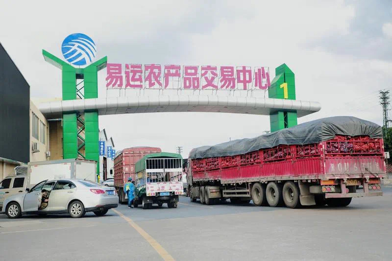 防疫经营两不误！易运农产品交易中心按下&ldquo;恢复键&rdquo;