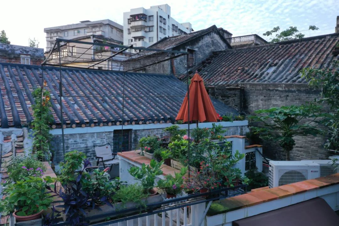 佛山传承岭南广府文脉，焕发老城风采