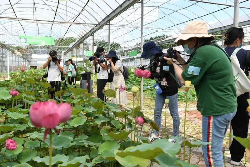&ldquo;佛山奇趣环保营&rdquo;走进三水