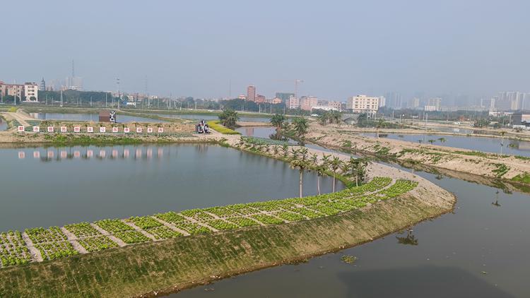 助力&ldquo;禅乡渔歌&rdquo;精品农业公园高质量建设