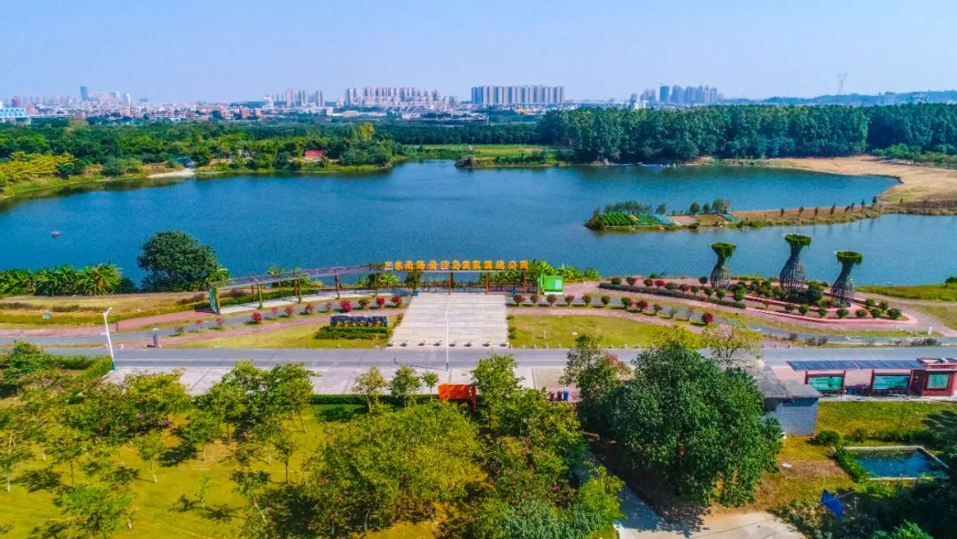 千顷湿地，绿色蝶变！佛山开启湿地保护新篇章