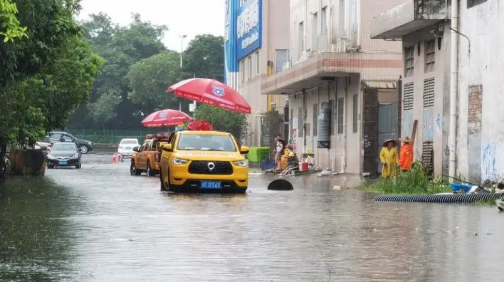 志愿之城 | 连降大雨，佛山菠萝救援队&rdquo;兵分十路&rdquo;排涝除