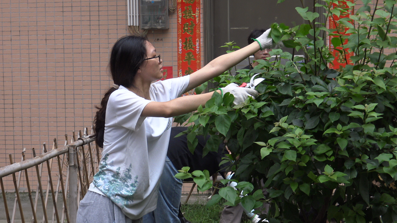 佛科院大学生暑期&ldquo;三下乡&rdquo; 助力狮山谭边&ldquo;四小园&rdquo;改造